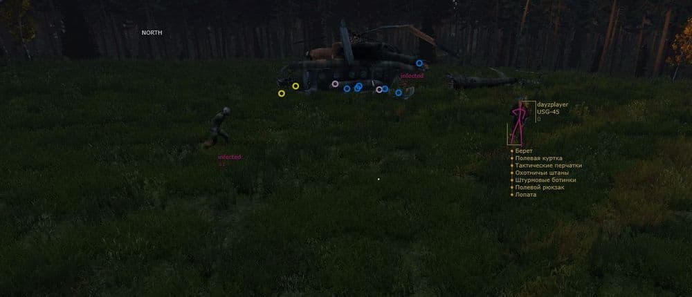 MAS — DayZ