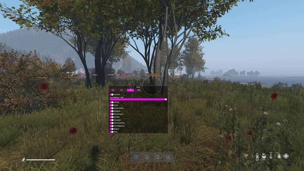 COVCHEG — DayZ