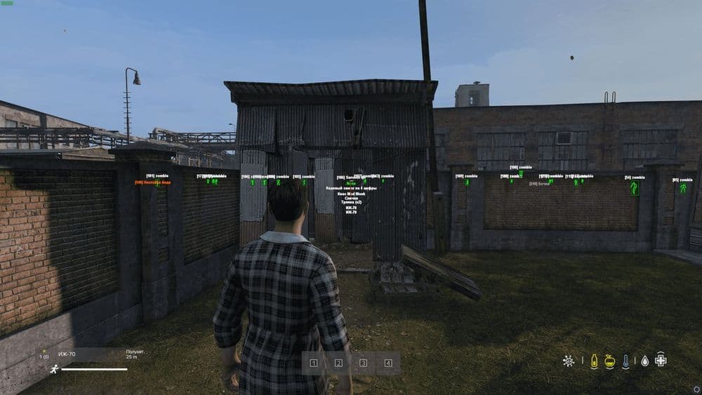 Collapse — DayZ